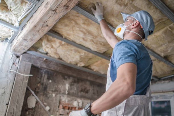 Best Insulation Maintenance and Repair in Erwinville, LA