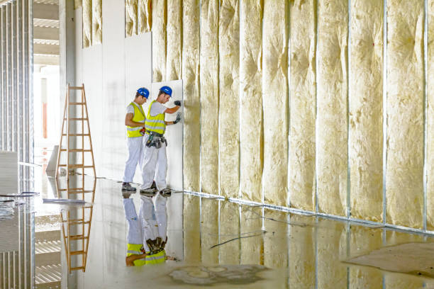 Best Insulation Materials and Products in Erwinville, LA